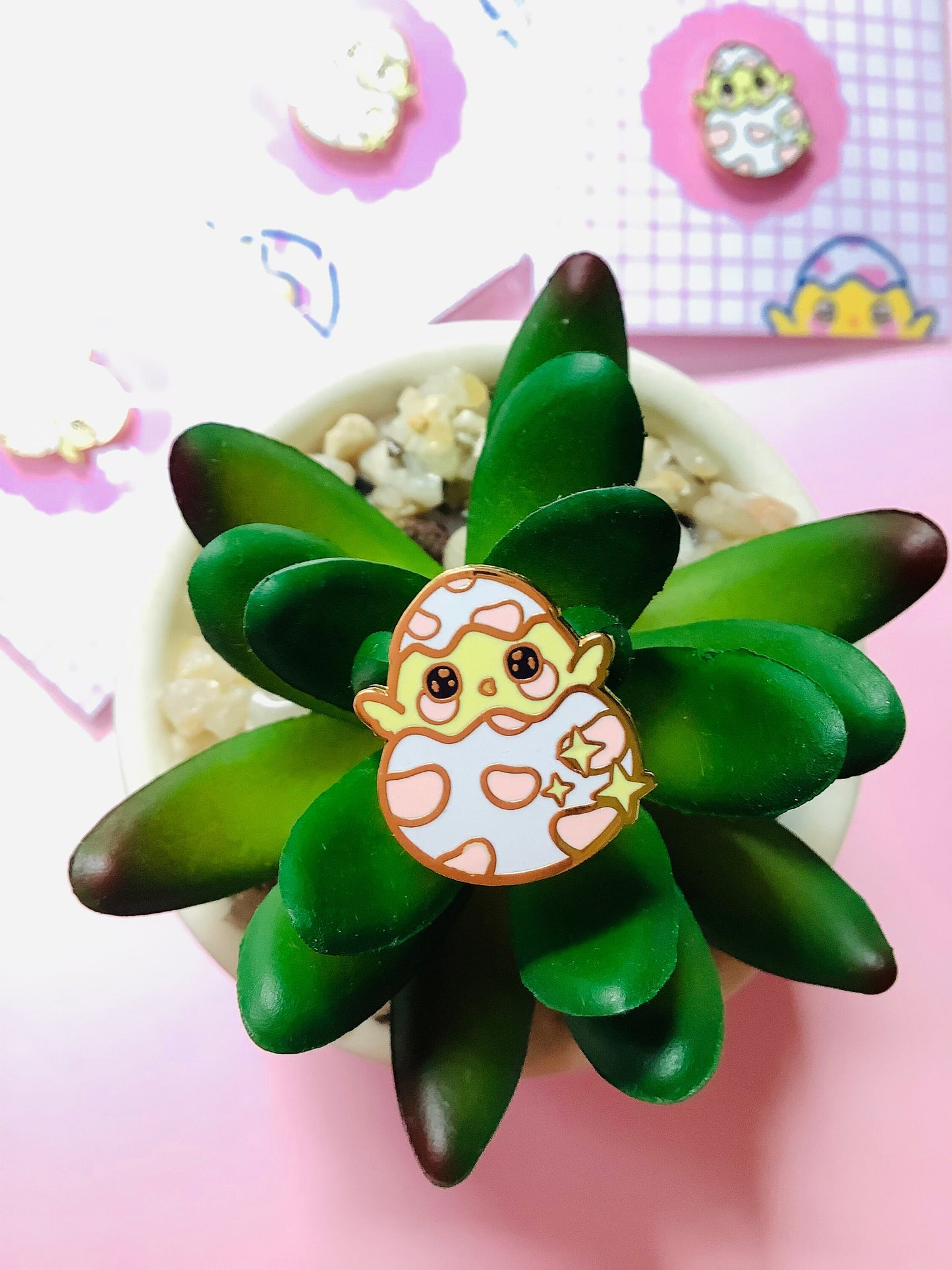 Pin del pollito Ostra